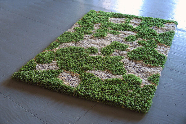 A Piece of Turf